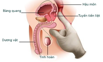 Dịch vụ ung bướu